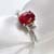 Ruby with Diamonds Ring
