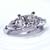 Princess Cut Diamond with Pear Shape Diamonds